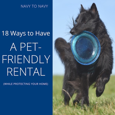 18 Ways to Have a Pet-Friendly Rental (While Protecting Your Home)